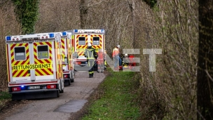 Stradali od pada drveta 